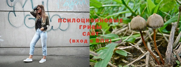 jwh Ростов