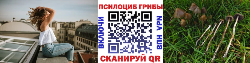 где купить наркотик  Армянск  Галлюциногенные грибы GOLDEN TEACHER 